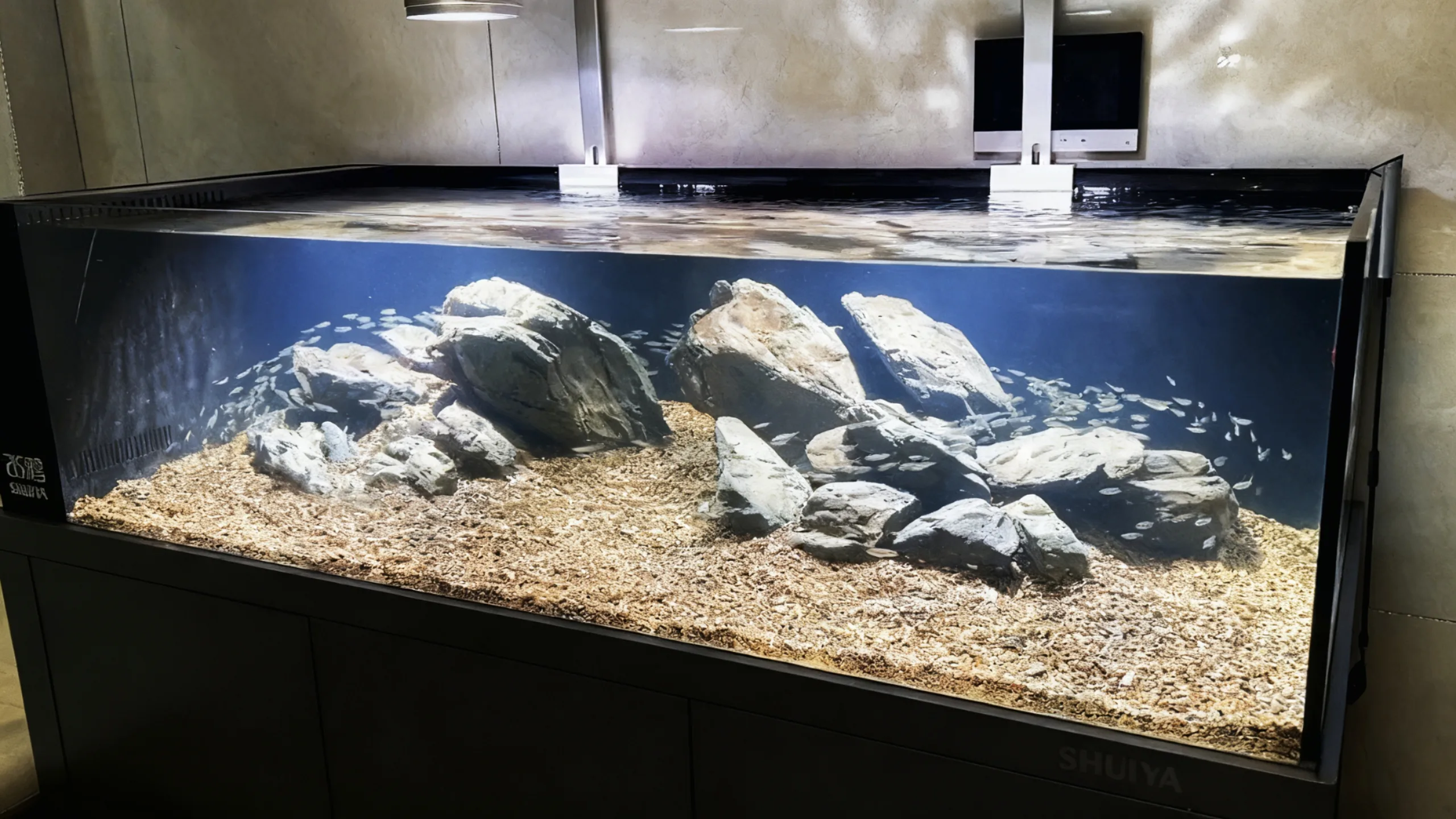 The fish moves with the water flow