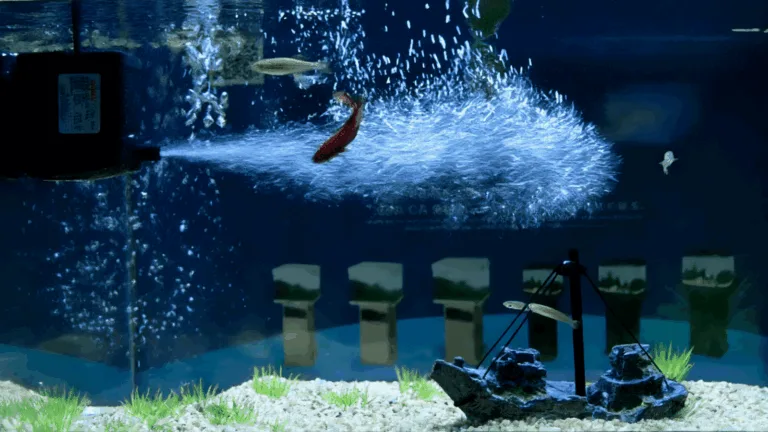 aquaium water pump in a fish tank