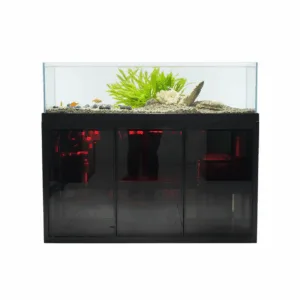fish tank in wihte wall